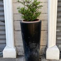 Vasi in polipropilene