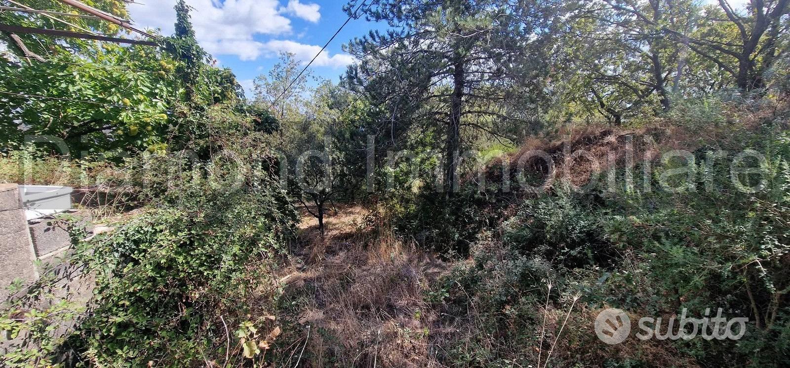Casetta di campagna con terreno a Linguaglossa - Vista 4