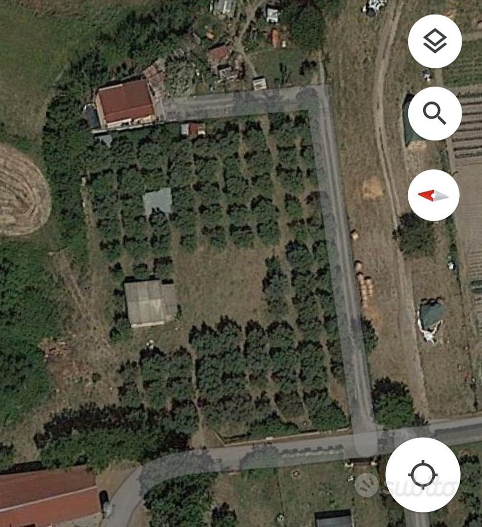 Casaletto rustico con oliveto 5000mq - Vista 4