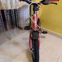 Bicicletta