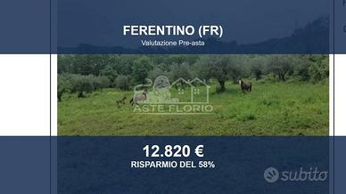 Immobile in asta di 8097 m² a Ferentino