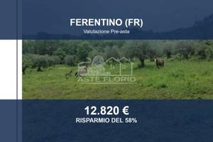 Immobile in asta di 8097 m² a Ferentino