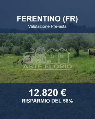 Immobile in asta di 8097 m² a Ferentino