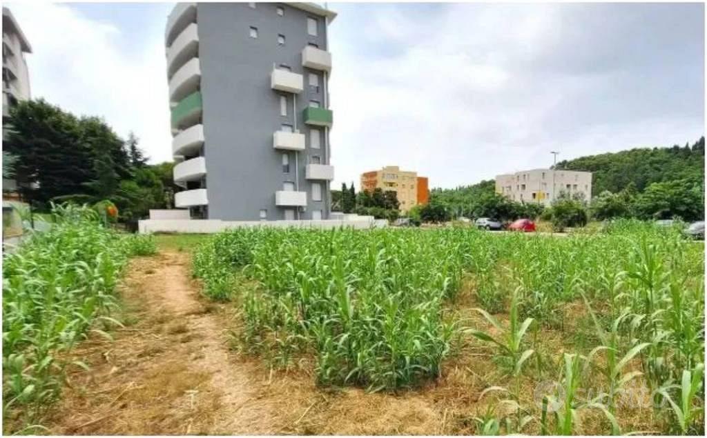 Immobile in asta di 1236 m² a Pesaro - Vista 5