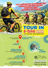 Escursioni in e-bike