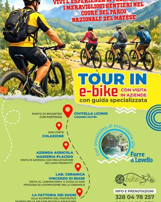 Escursioni in e-bike