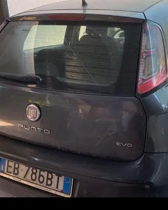 Pubto evo