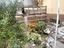 Immagine 26