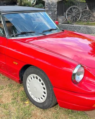 Alfa romeo spider 