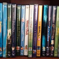 film animazione dvd