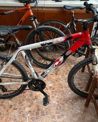 Mountain bike