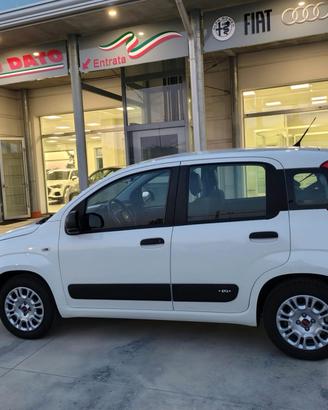 Fiat Panda 1.2 EasyPower Easy