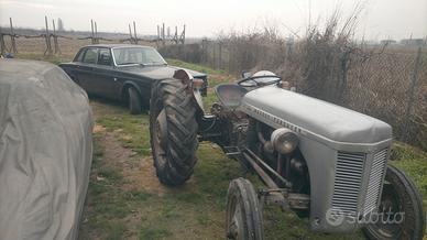 1953 Massey Ferguson TEF20 con sollevamento 