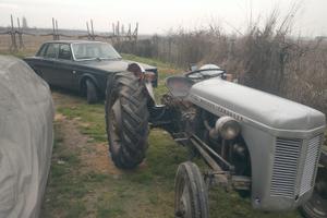 1953 Massey Ferguson TEF20 con sollevamento 