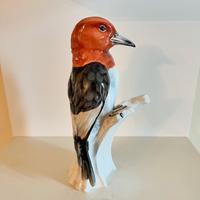 Uccello Cacciapuoti