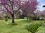 Immagine 19