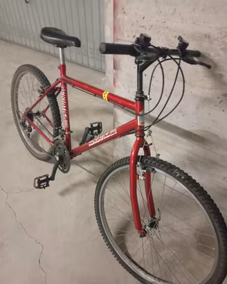 bici Mountain bike