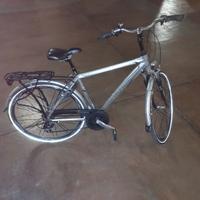 CityBike Olimpia Roadster
