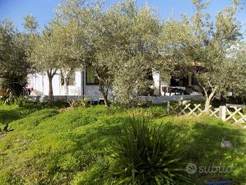 Villa di 140 m² con 4 locali a Siniscola