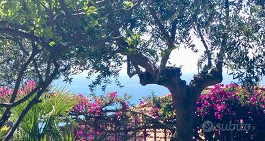Appartamento Vacanze Imperia con Giardino, Garage