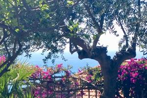 Appartamento Vacanze Imperia con Giardino, Garage