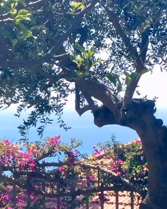 Appartamento Vacanze Imperia con Giardino, Garage