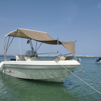 Ranieri Shark 17 con motore Mercury 40 efi 4 tempi