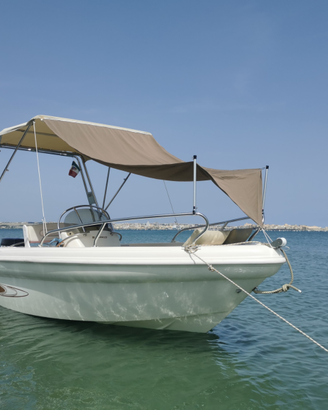 Ranieri Shark 17 con motore Mercury 40 efi 4 tempi