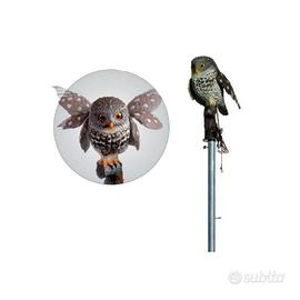 Civetta ali battenti motorizzata