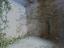 Immagine 7
