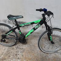 Bicicletta MTB 24 pollici