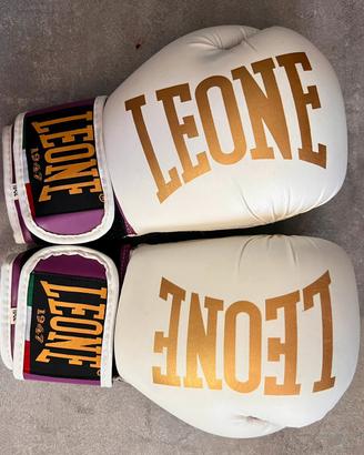 Guantoni da box  /kickboxing