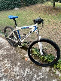 Bicicletta torpado T582