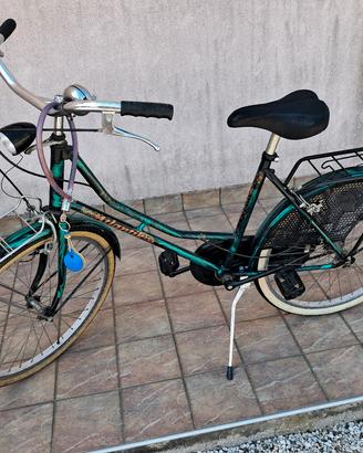 Bicicletta verde