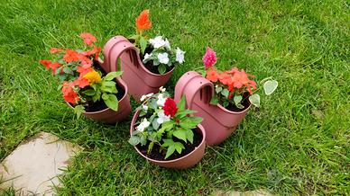 4 Fioriere per Ringhiere Color Rosa Leggi