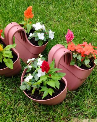 4 Fioriere per Ringhiere Color Rosa Leggi