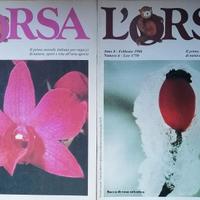 NATALE: L'ORSA il mensile di natura di papà