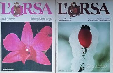 NATALE: L'ORSA il mensile di natura di papà