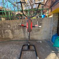 Domyos DS980 stazione dips/trazioni/corpo libero