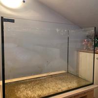 Acquario e accessori