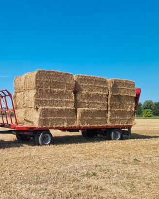 Paglia di grano