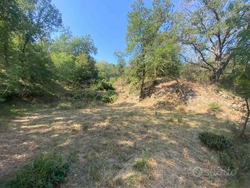 Terreno di 4000 m² a Calice Ligure