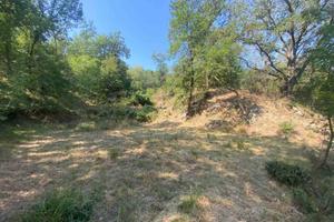Terreno di 4000 m² a Calice Ligure