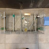 gabbia per canarini e cocorite 