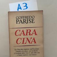 Goffredo Parise, Cara Cina, Longanesi