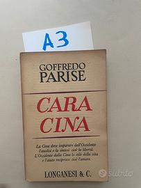Goffredo Parise, Cara Cina, Longanesi