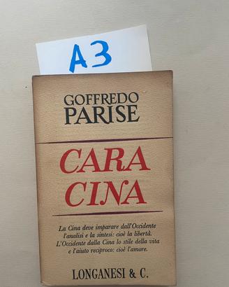 Goffredo Parise, Cara Cina, Longanesi
