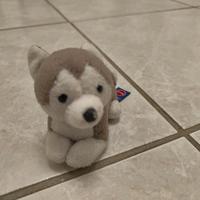 Trudi Peluches taglia S Husky