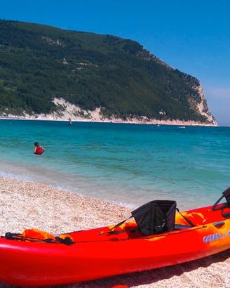 kayak Ocean Kayak Malibu 2 XL 