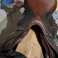 sella da salto antares